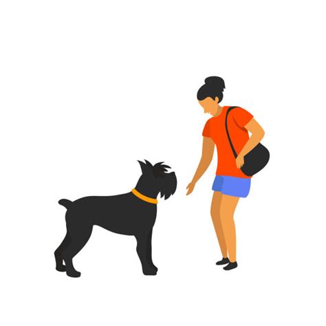 Dog Sniffing Woman Stock Vectors Istock