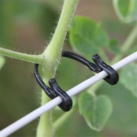 100pcs Vegetable Binder Twine Plant Support Type Tomato Clips Trellis