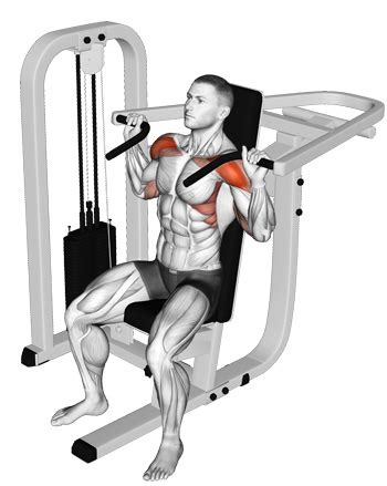Its round, muscular, boulder shoulder muscles which bulge out and get noticed without having to get naked! Seated Shoulder Press Muscles Worked | Awesome Home