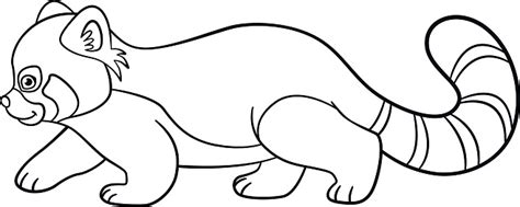 Red pandas, like giant pandas, are bamboo eaters native to asia's high forests. Coloring Pages Little Cute Red Panda Walks Stock ...