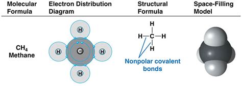 Nonpolar bonds — overview & examples. Covalent Bonding