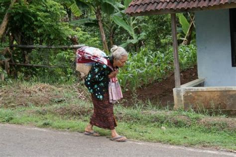 3.1 tips melamar kerja yang baik. Ternyata Ibu Seorang Pembohong | chillinaris