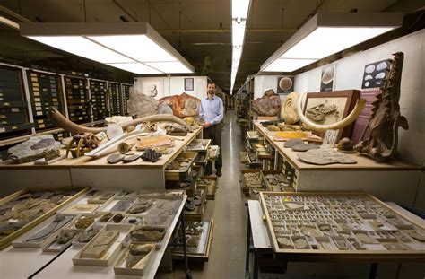 Inside the Secret Collections Backstage at the US Museum of Natural History