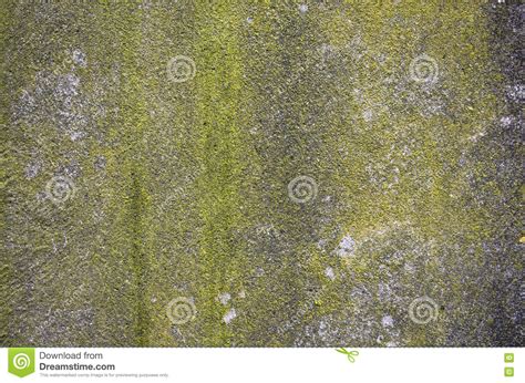 Mossy Concrete Wall Background Texture Stock Image Image Of Mold