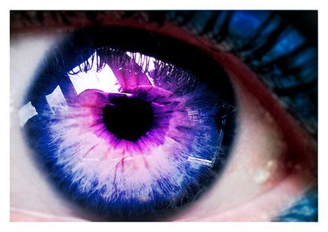 Purple Eyes Purple Photo 21933170 Fanpop