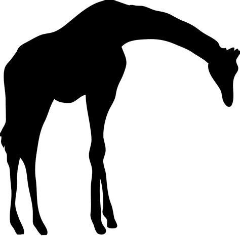 The Silhouette Of A Giraffe Is Shown In Black And White