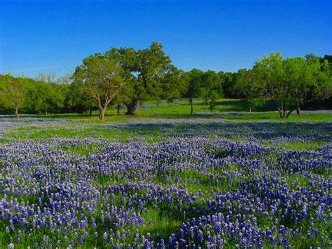 5 Natural Wonders Of Texas You Wont Want To Miss This Summer Texas