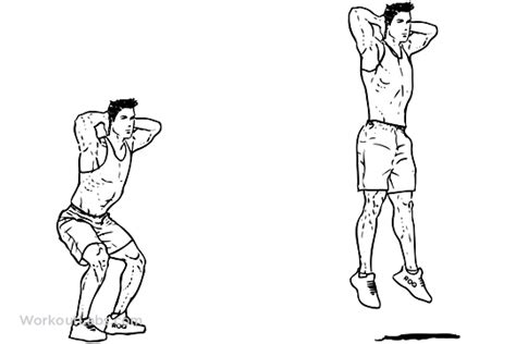 Jump Squat Illustrated Exercise Guide Workoutlabs