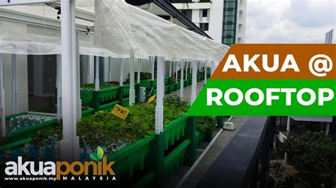 Malls, entertainment, lifestyle, business center & education center such as mmu, limkokwing university, tamarind square, dpulze shopping centre, malakat mall, cyberjaya autoville and new. Akuaponik Atas Bumbung | Laman Akiponics Malakat Mall ...