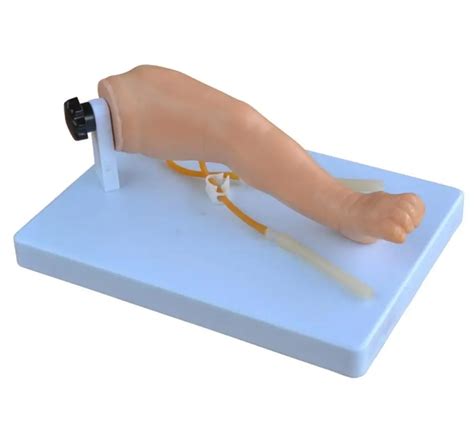 Advanced Infant Venipuncture Leg Medical Training Teaching Simulation