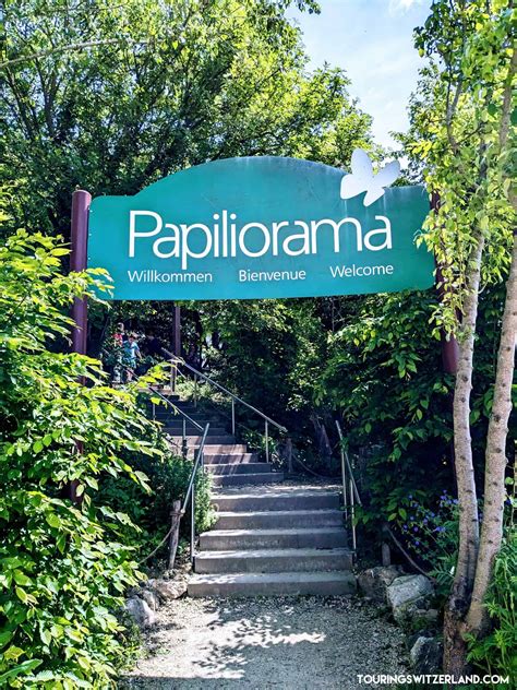 Papilioramaentrance Touring Switzerland