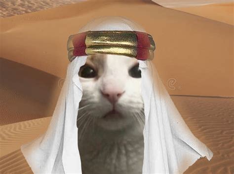Arabian Cat Meme By Nayreee On Deviantart