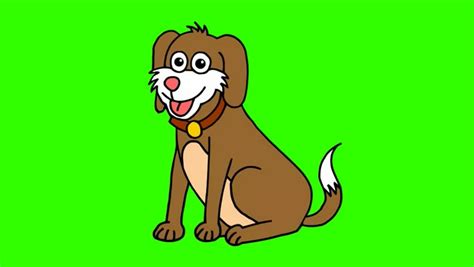 Cartoon Dog Is Standing Stock Footage Video 100 Royalty Free