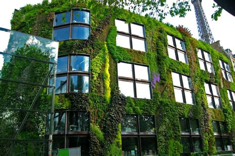 Advice For Creating A Healthy And Beautiful Green Wall