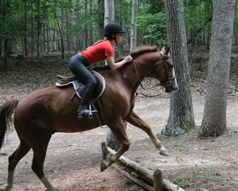 Equestrian Camp — Camp Friendship