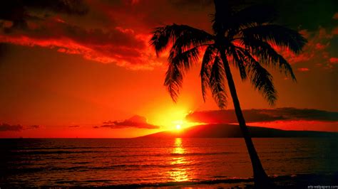40 Hawaii Sunset Pictures Wallpaper On Wallpapersafari