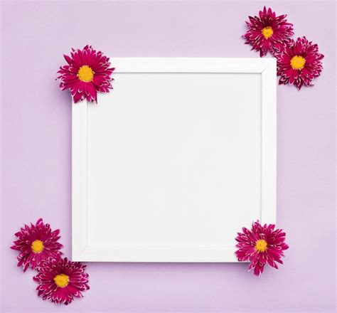 Free Photo Elegant White Frame And Flowers