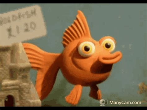 Goldfish Animated Gif Goldfish Animated Wink Scopri E Condividi Gif
