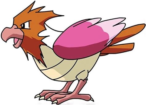 Top 20 Best Bird Pokémon Flying Type Pokémon Ranked