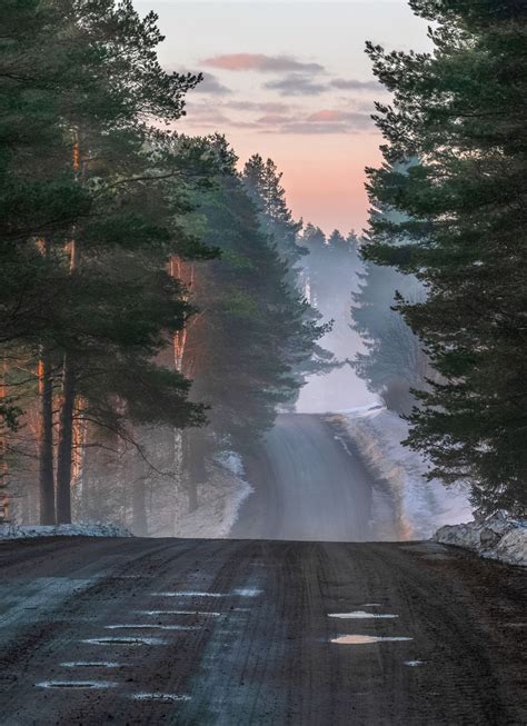 Country Road Finland By Asko Kuittinen Cr🇫🇮 Пейзажи Живописные