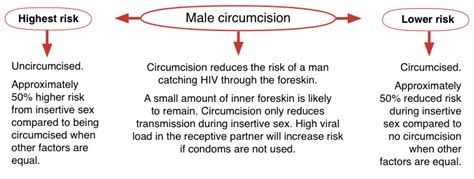 Male Circumcision Guides Hiv I Base