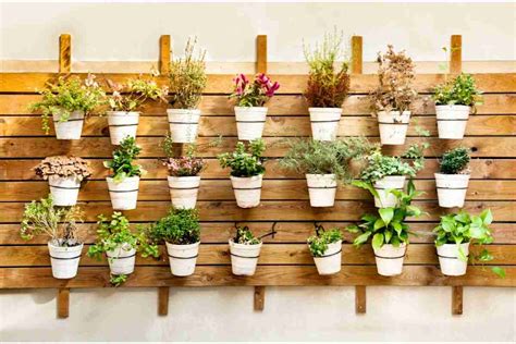 Putting Together A Wall Mounted Indoor Herb Garden The Ultimate Guide