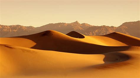 Arenas Desierto Dunas Naturaleza Fondo De Pantalla Hd Wallpaperbetter