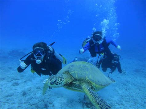 Oahu Scuba Diving Tour Information