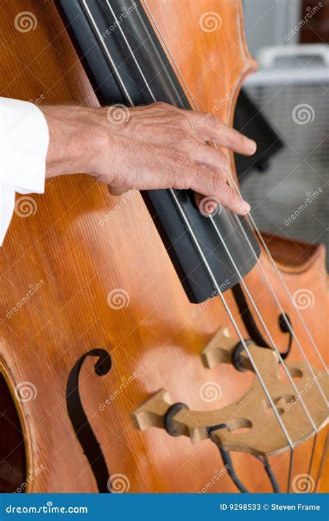 Bass Fiddle Player Stock Image Image Of Notes Instrument 9298533