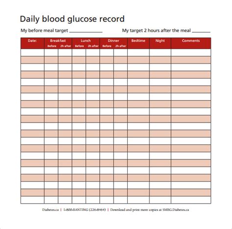 Free 7 Sample Blood Glucose Chart Templates In Pdf