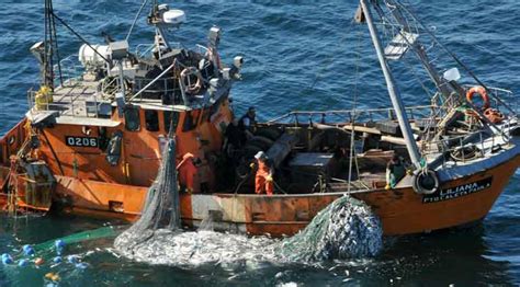 La Actividad Pesquera Marítima Despidió El 2018 Con Leve