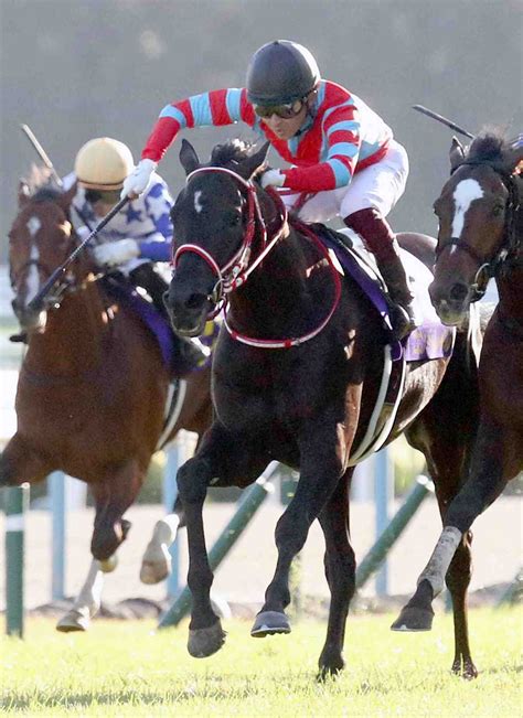 Horse Racing Kikkasho Triple Crown Winner Contrail 010 Japan Forward