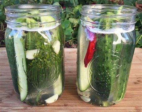We would like to show you a description here but the site won't allow us. Fermented Cucumber Pickles | Recipe | Pickles ...