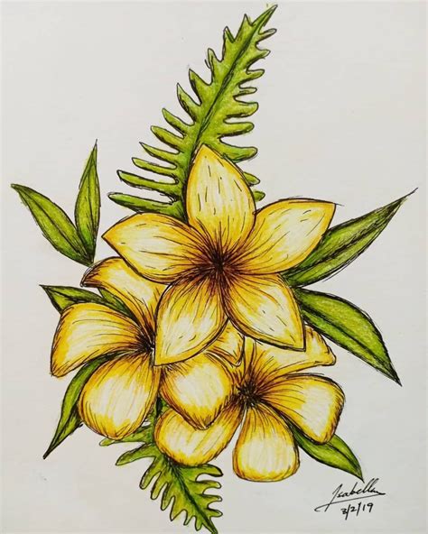 √ Beautiful Colour Pencil Sketches Of Flowers
