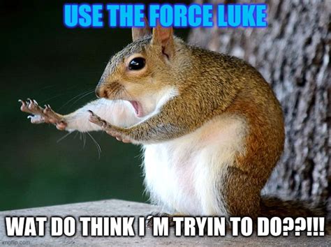 Use The Force Imgflip