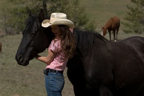 They form a special bond and she opens her heart to hank and a handsome. JAM Movie Reviews: Flicka 2 - 20th Century Fox Home Entertainment