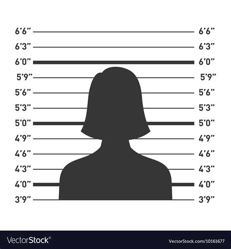 Police Lineup With Woman Silhouette Royalty Free Vector