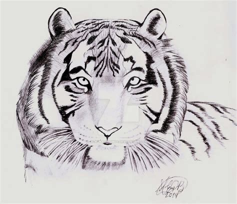 Tiger By Alaskasnow16 On Deviantart