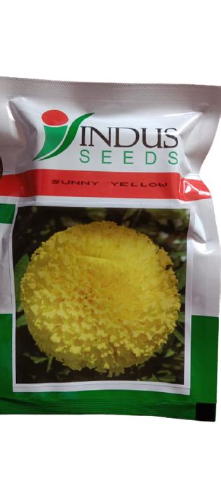 Sunny Yellow F1 Hybrid Marigold Indus Seeds