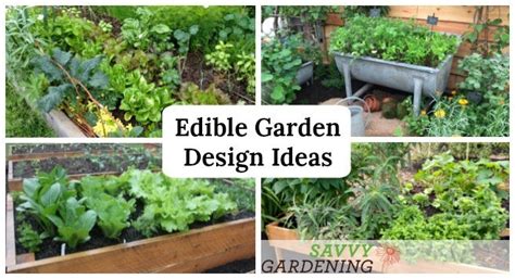 Edible Garden Design Ideas To Boost Production And