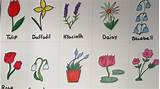 Easy drawing flowers search results for easy drawings page 7 best. How to draw Different types of flowers | How to Draw ...