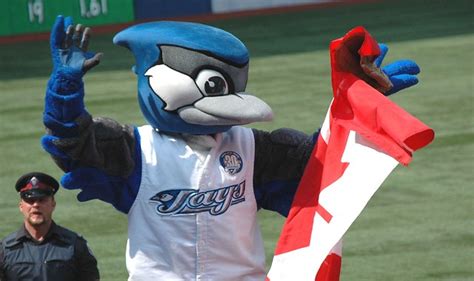 Toronto Blue Jays New Mascot Ace Flickr Photo Sharing