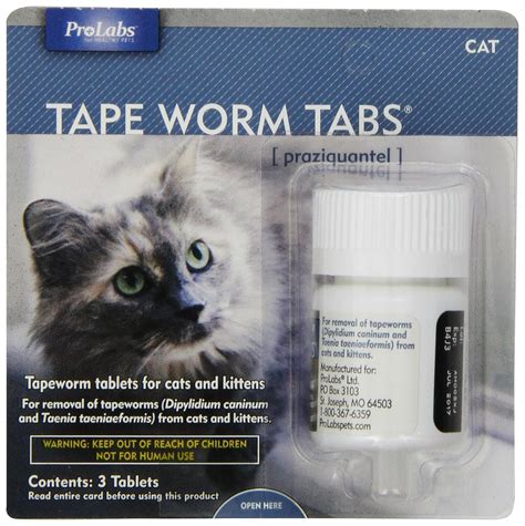 3 Best Over The Counter Cat Dewormer You Need Right Now Tinpaw