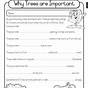 Science Worksheets For 2nd Graders