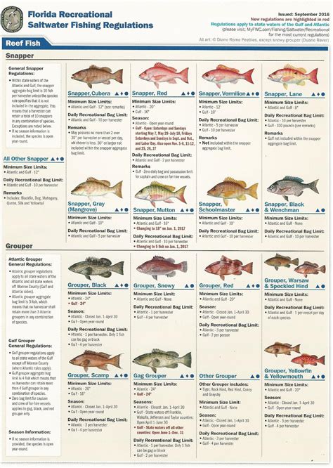Florida Saltwater Fishing Regulations 2024 Berti Abagael