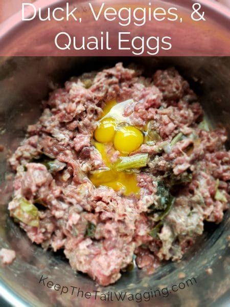 Pills are given dipped in a bit of cream cheese or peanut butter. Easy Raw Dog Food Recipe Duck, Veggies, and Quail Eggs ...