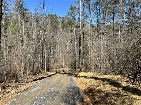 Fisher Creek Lot C Country Tracts Georgia Land For Sale