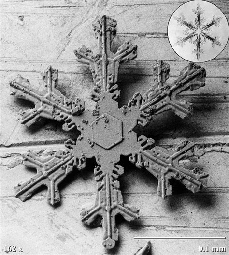 This Is A What A Snowflake Looks Like Under An Electron Microscope Now
