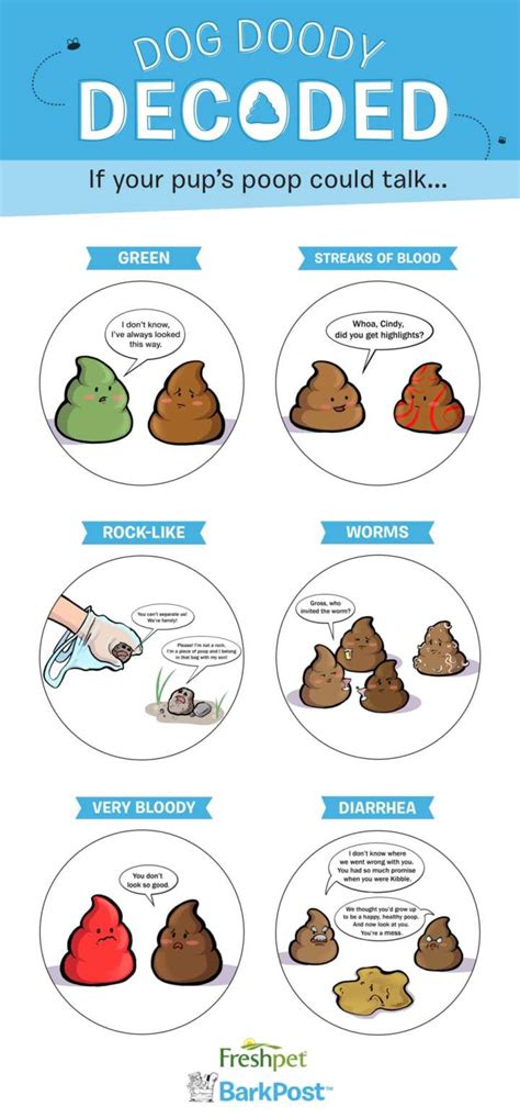 Pin On Poop Dog Diarrhea Dog Health Today Diarrhea Color Chart For