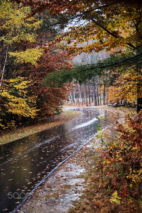 Rainy Road On A Autumn Day Rainy Day Photography Rainy Day Wallpaper